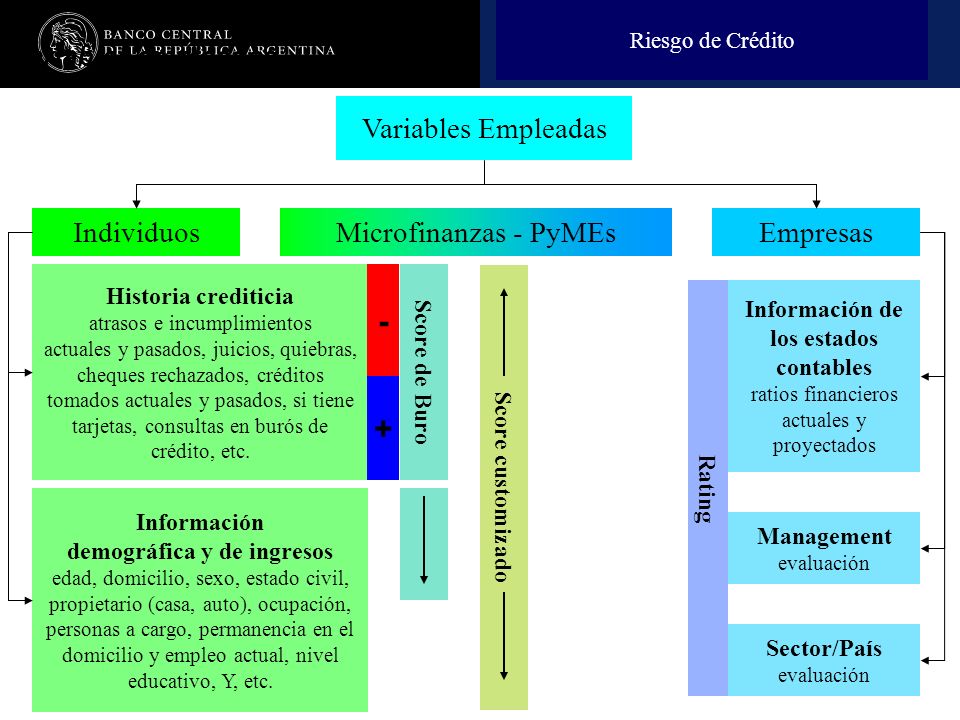 Información de los estados contables demográfica y de ingresos
