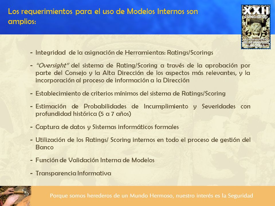 Los requerimientos para el uso de Modelos Internos son amplios: