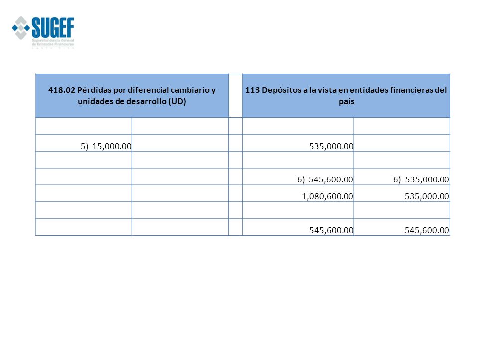 113 Depósitos a la vista en entidades financieras del país