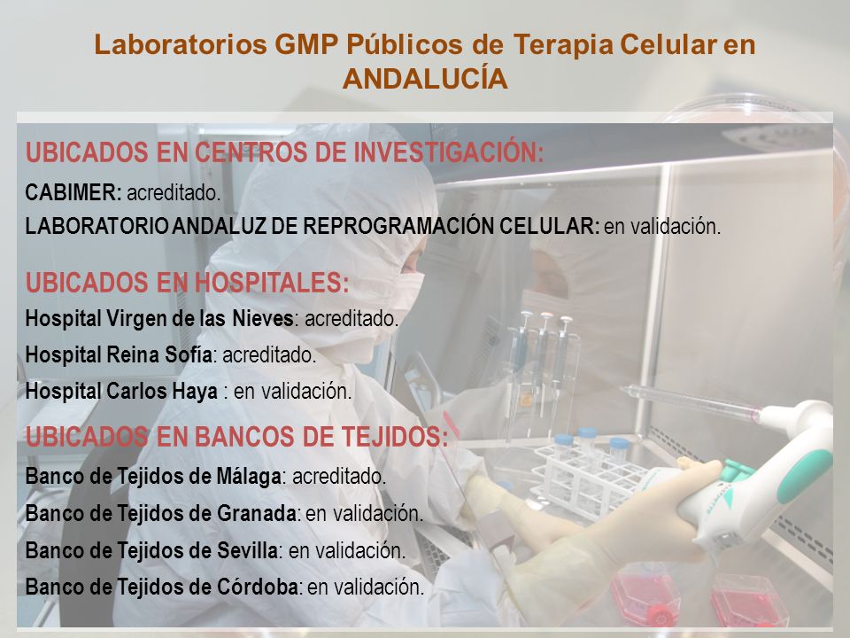Laboratorios GMP Públicos de Terapia Celular en ANDALUCÍA