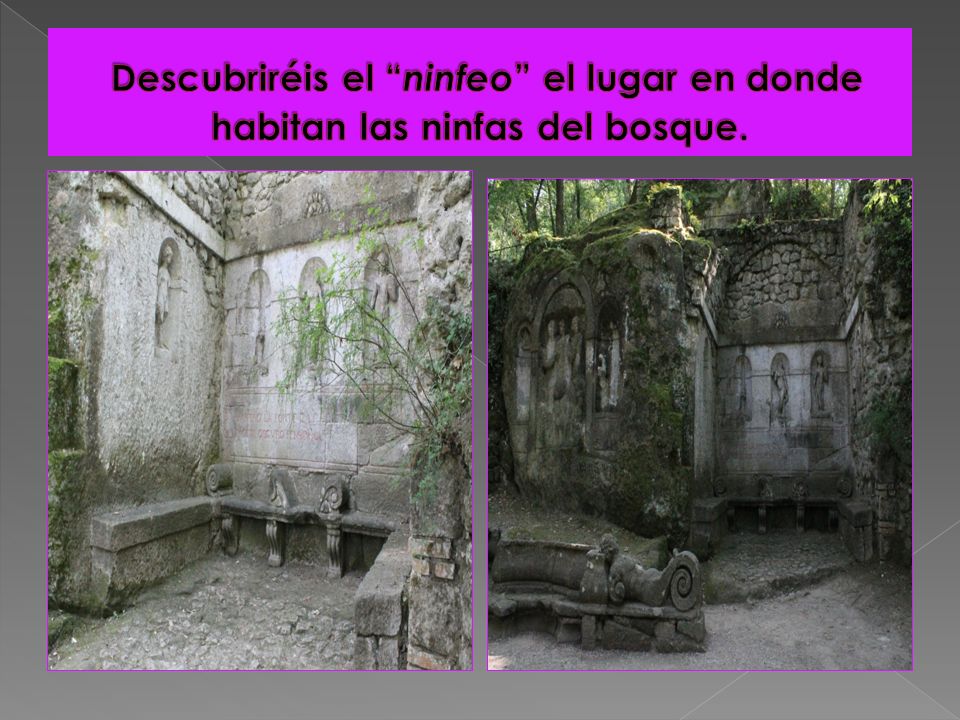 Descubriréis el ninfeo el lugar en donde habitan las ninfas del bosque.