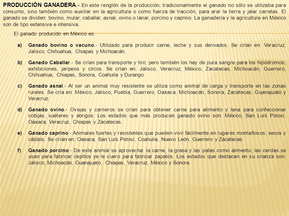 PRODUCCIÓN GANADERA.- En este renglón de la producción, tradicionalmente el ganado no sólo se utilizaba para consumo, sino también como auxiliar en la agricultura o como fuerza de tracción, para arar la tierra y jalar carretas. El ganado se dividen: bovino, mular, caballar, asnal, ovino o lanar, porcino y caprino. La ganadería y la agricultura en México son de tipo extensiva e intensiva.