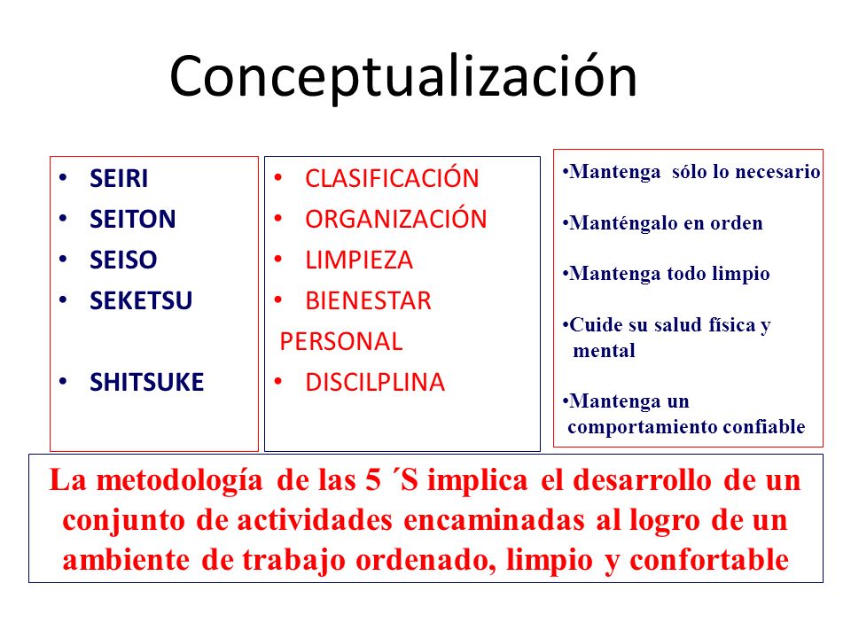 Conceptualización Mantenga sólo lo necesario. Manténgalo en orden. Mantenga todo limpio. Cuide su salud física y.