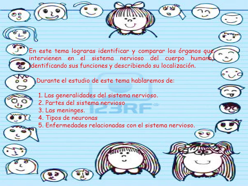 En este tema lograras identificar y comparar los órganos que intervienen en el sistema nervioso del cuerpo humano, identificando sus funciones y describiendo su localización.
