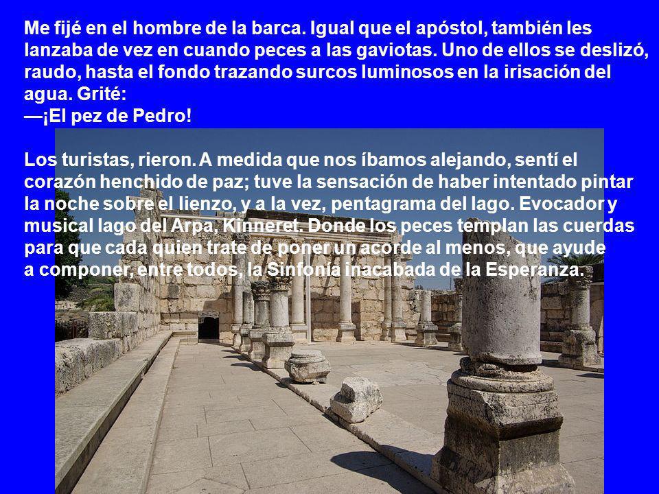 Me fijé en el hombre de la barca. Igual que el apóstol, también les