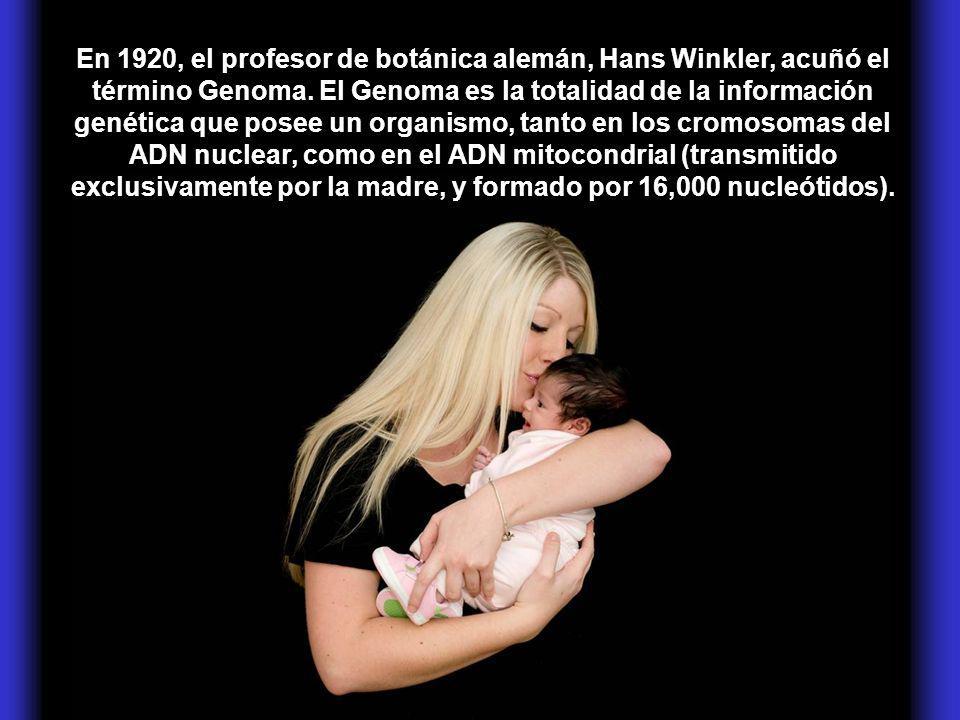 En 1920, el profesor de botánica alemán, Hans Winkler, acuñó el término Genoma.