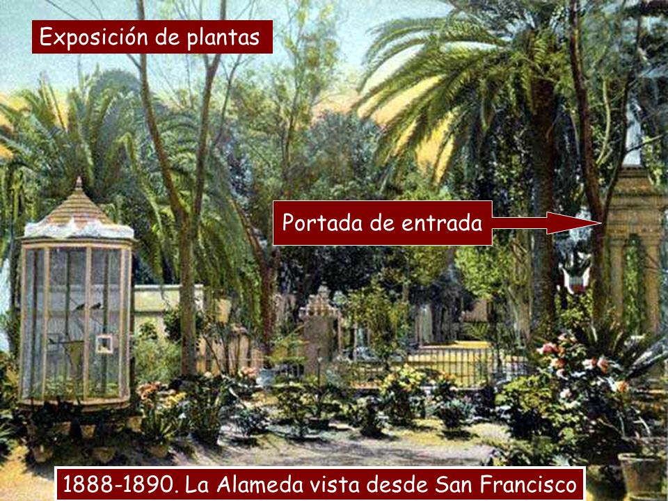 Exposición de plantas Portada de entrada La Alameda vista desde San Francisco