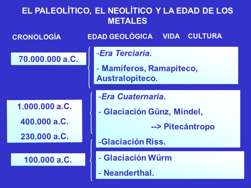 EL PALEOLÍTICO, EL NEOLÍTICO Y LA EDAD DE LOS METALES