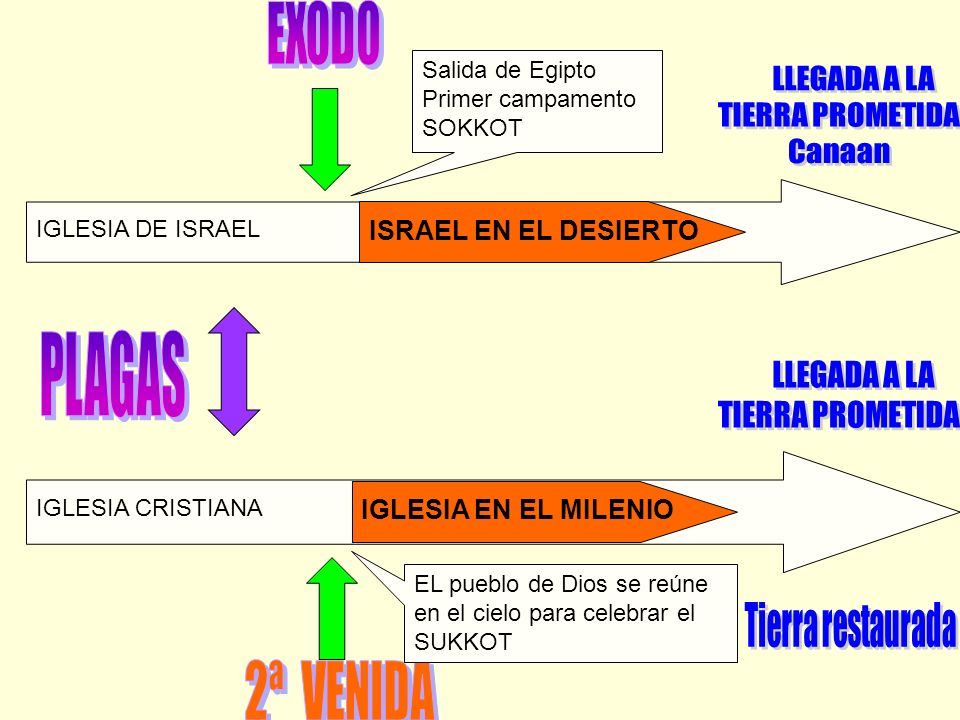 EXODO PLAGAS 2ª VENIDA LLEGADA A LA TIERRA PROMETIDA Canaan