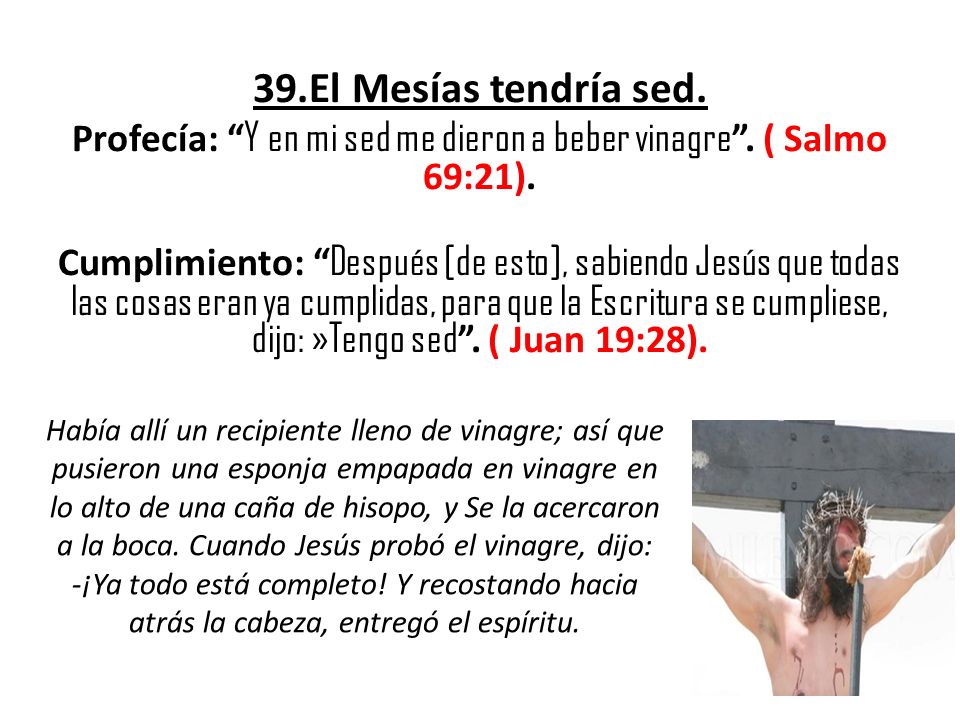 Profecía: Y en mi sed me dieron a beber vinagre . ( Salmo 69:21).