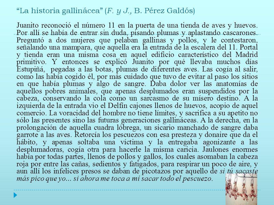La historia gallinácea (F. y J., B. Pérez Galdós)