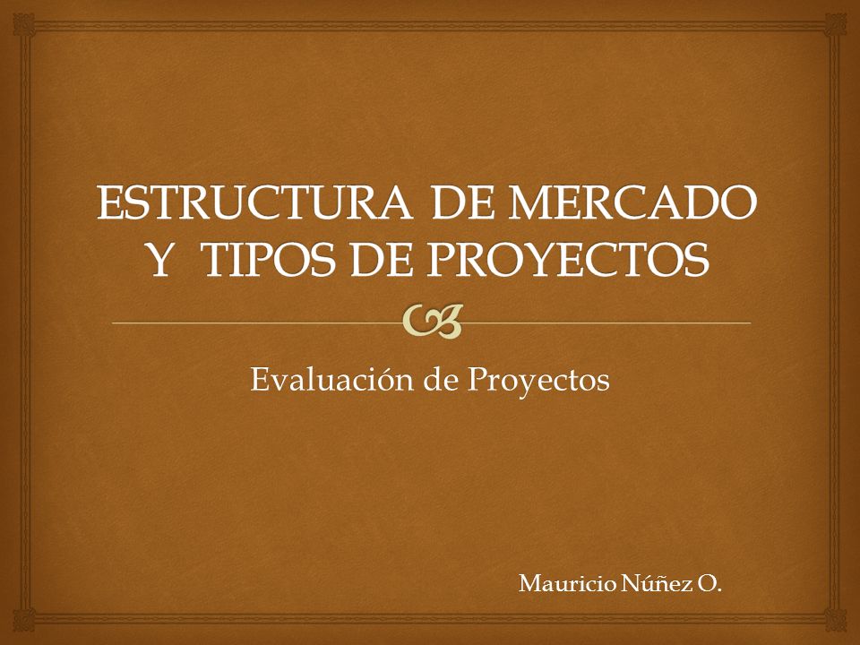 ESTRUCTURA DE MERCADO Y TIPOS DE PROYECTOS