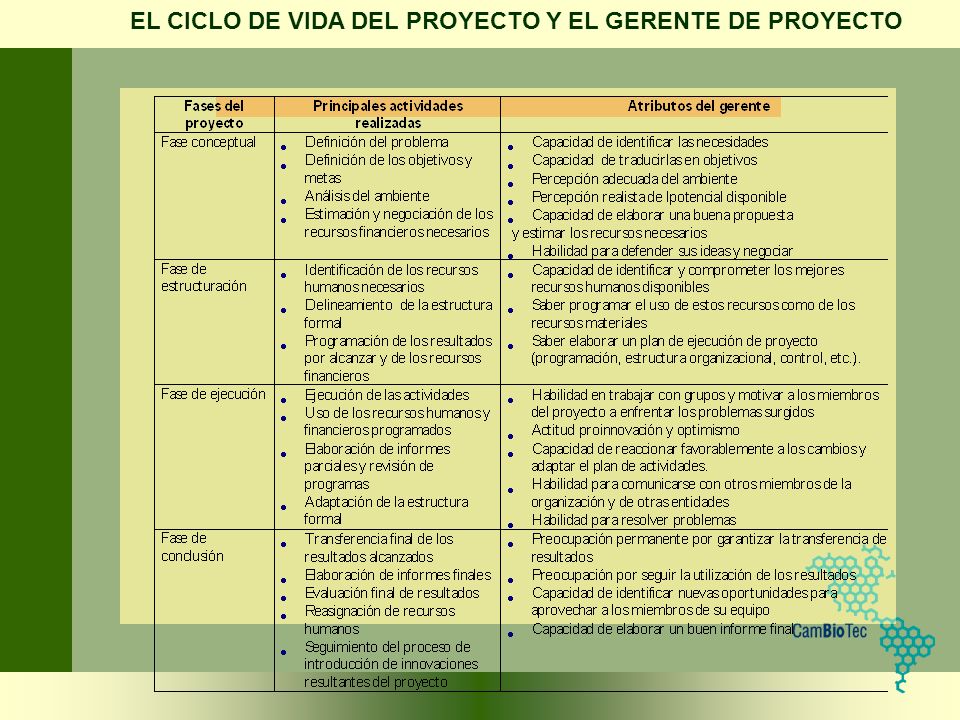EL CICLO DE VIDA DEL PROYECTO Y EL GERENTE DE PROYECTO