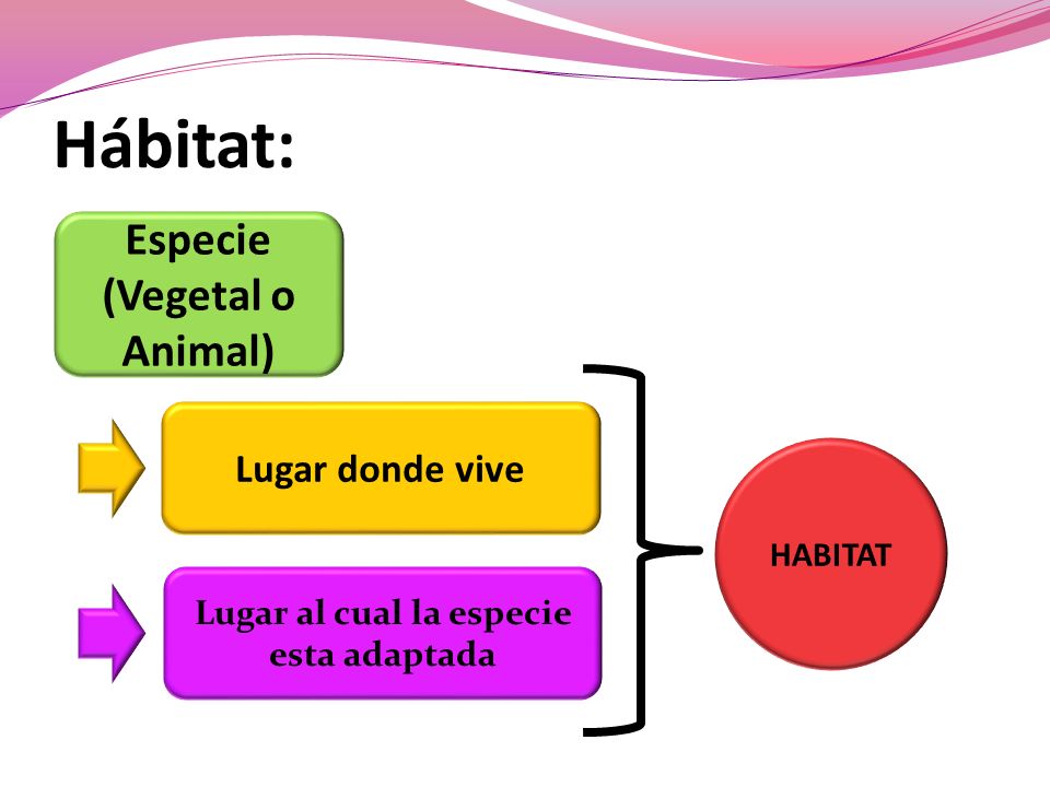 Especie (Vegetal o Animal) Lugar al cual la especie esta adaptada