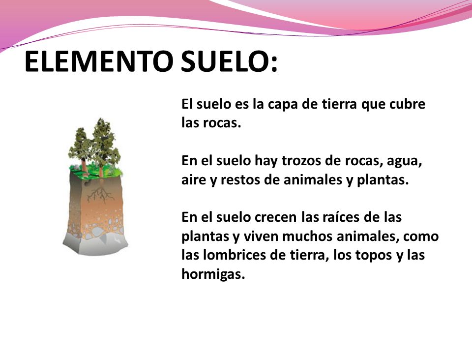 ELEMENTO SUELO: El suelo es la capa de tierra que cubre las rocas.