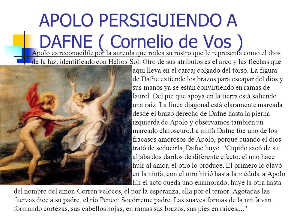 APOLO PERSIGUIENDO A DAFNE ( Cornelio de Vos )