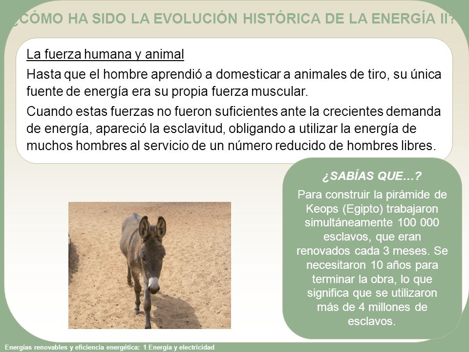 ¿CÓMO HA SIDO LA EVOLUCIÓN HISTÓRICA DE LA ENERGÍA II