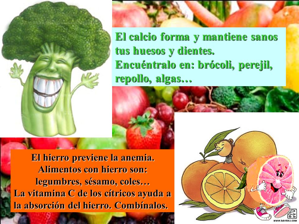 El calcio forma y mantiene sanos tus huesos y dientes.