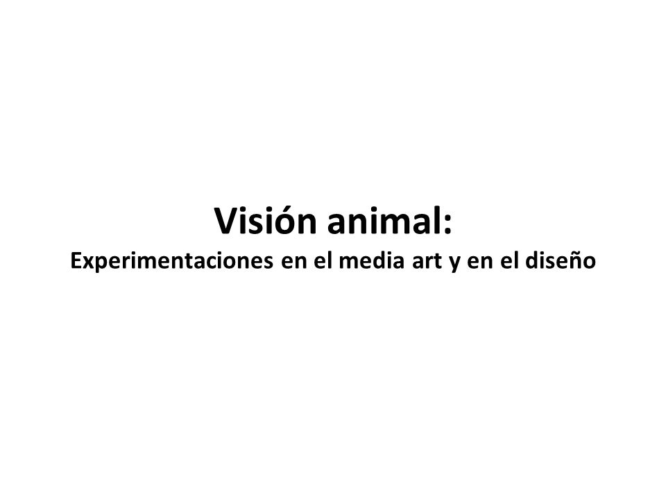 Visión animal: Experimentaciones en el media art y en el diseño