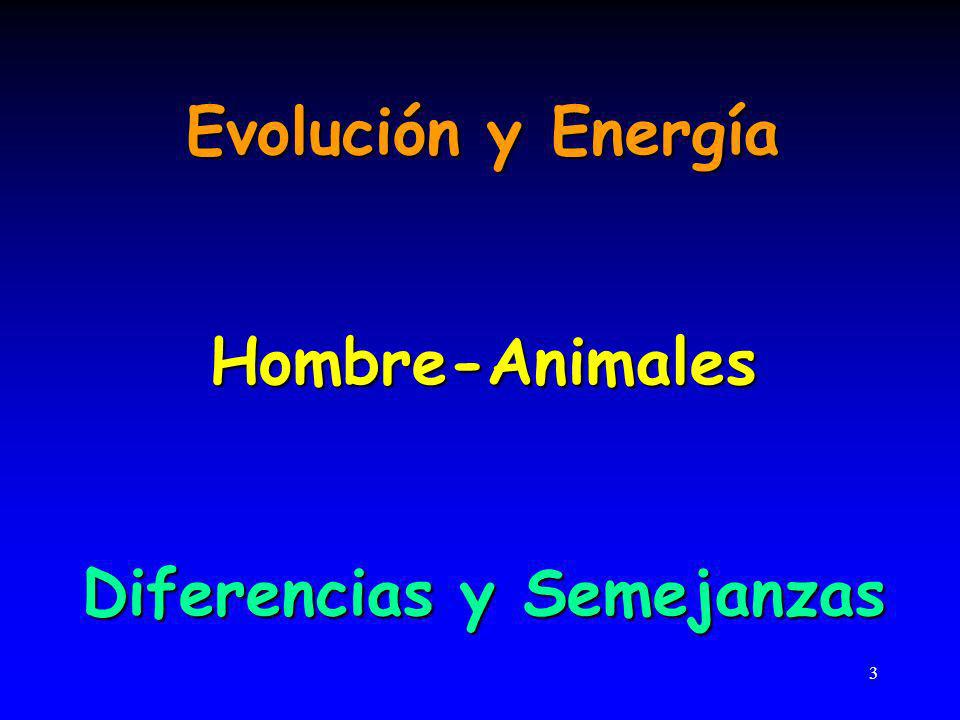 Diferencias y Semejanzas