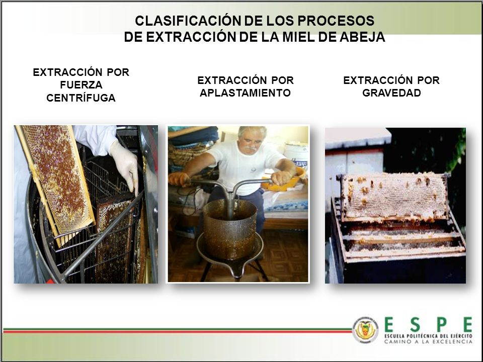 CLASIFICACIÓN DE LOS PROCESOS DE EXTRACCIÓN DE LA MIEL DE ABEJA