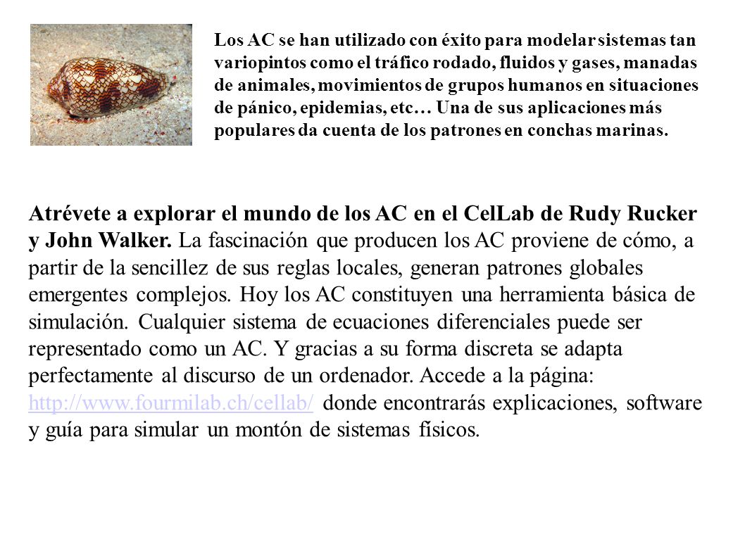 Los AC se han utilizado con éxito para modelar sistemas tan variopintos como el tráfico rodado, fluidos y gases, manadas de animales, movimientos de grupos humanos en situaciones de pánico, epidemias, etc… Una de sus aplicaciones más populares da cuenta de los patrones en conchas marinas.