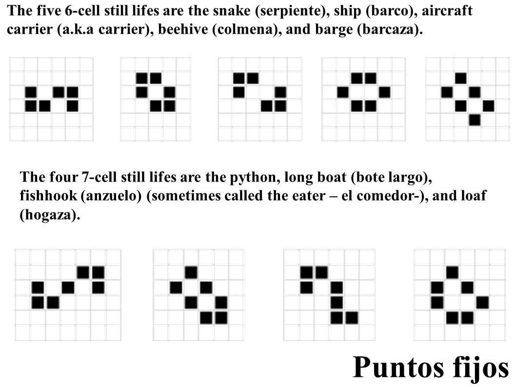 The five 6-cell still lifes are the snake (serpiente), ship (barco), aircraft carrier (a.k.a carrier), beehive (colmena), and barge (barcaza).