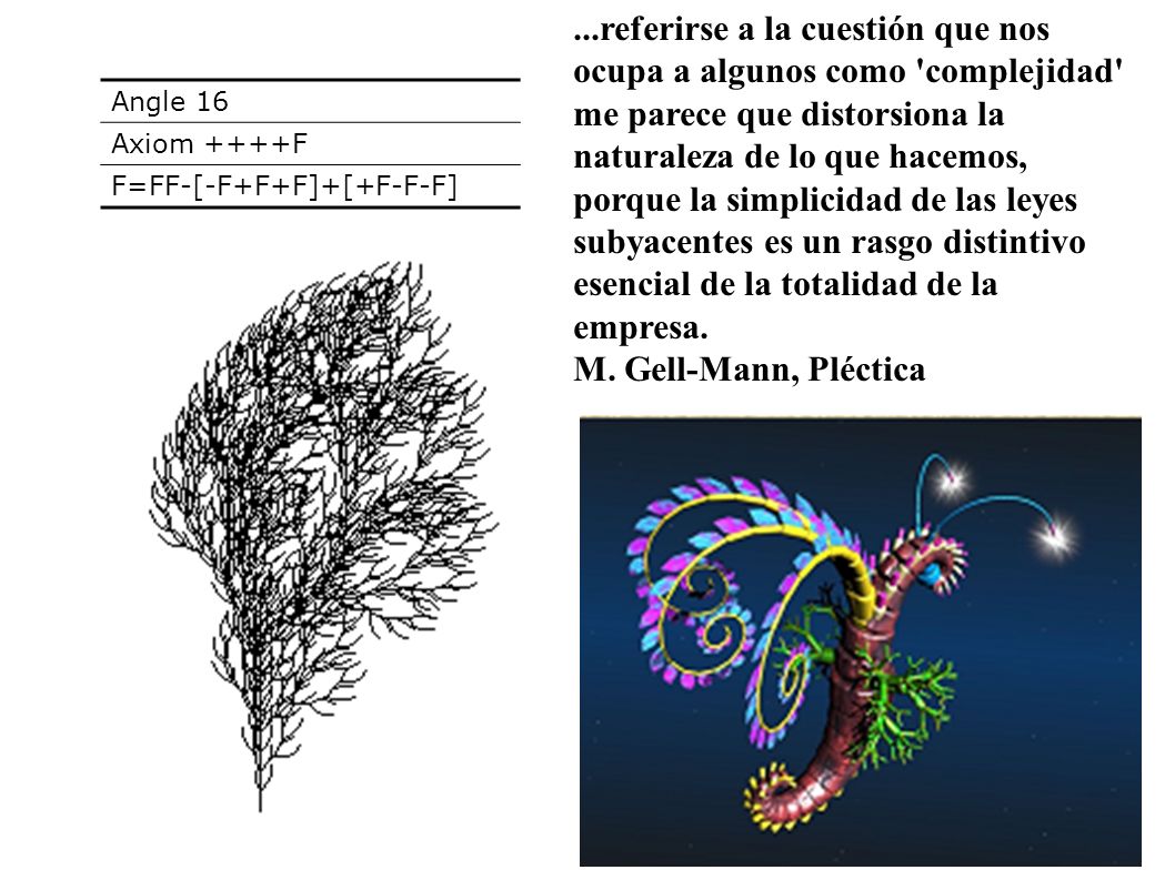 ...referirse a la cuestión que nos ocupa a algunos como complejidad me parece que distorsiona la naturaleza de lo que hacemos, porque la simplicidad de las leyes subyacentes es un rasgo distintivo esencial de la totalidad de la empresa.