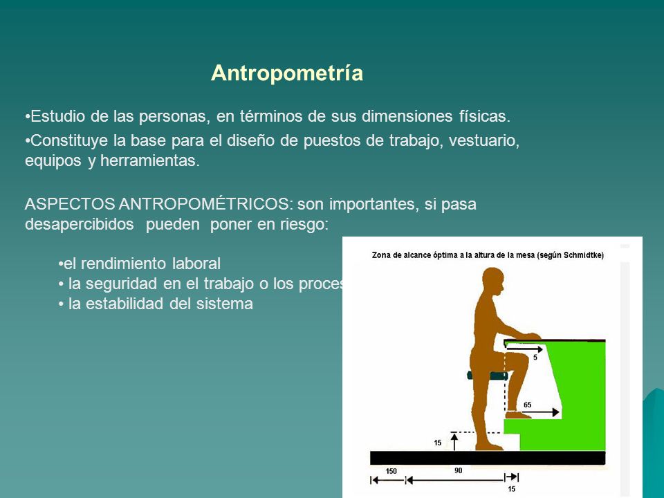 Antropometría Estudio de las personas, en términos de sus dimensiones físicas.