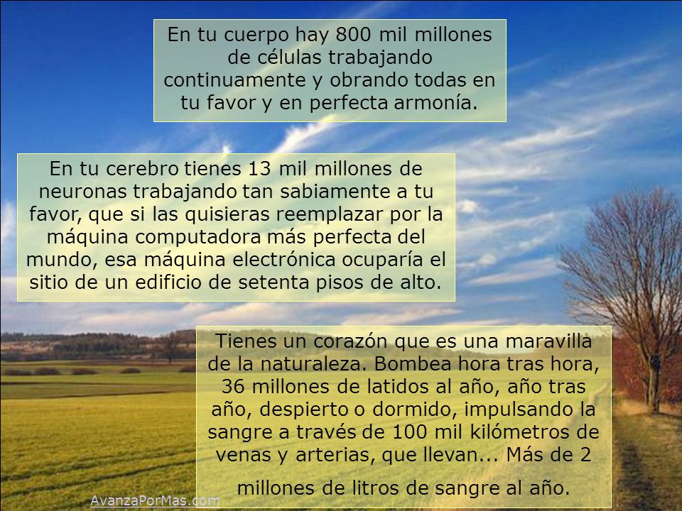 En tu cuerpo hay 800 mil millones de células trabajando continuamente y obrando todas en tu favor y en perfecta armonía.