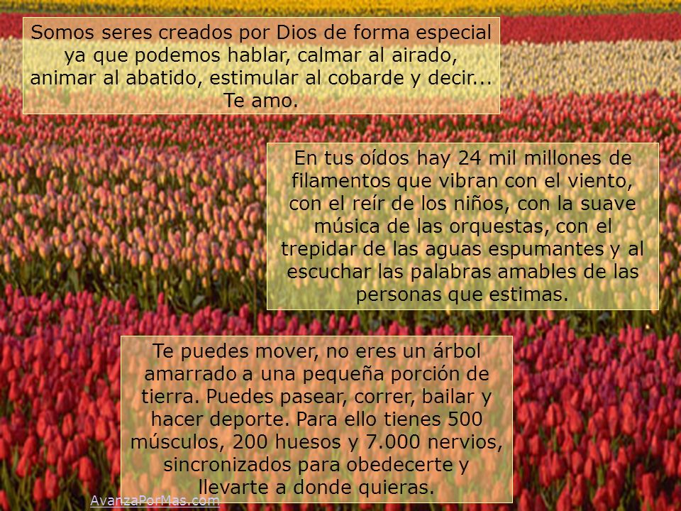 Somos seres creados por Dios de forma especial ya que podemos hablar, calmar al airado, animar al abatido, estimular al cobarde y decir... Te amo.