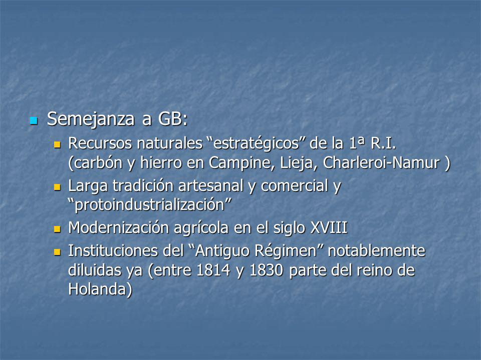 Semejanza a GB: Recursos naturales estratégicos de la 1ª R.I. (carbón y hierro en Campine, Lieja, Charleroi-Namur )