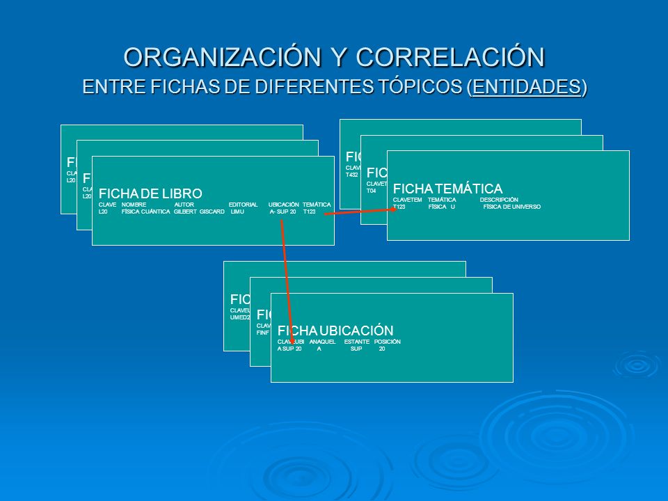 ORGANIZACIÓN Y CORRELACIÓN ENTRE FICHAS DE DIFERENTES TÓPICOS (ENTIDADES)