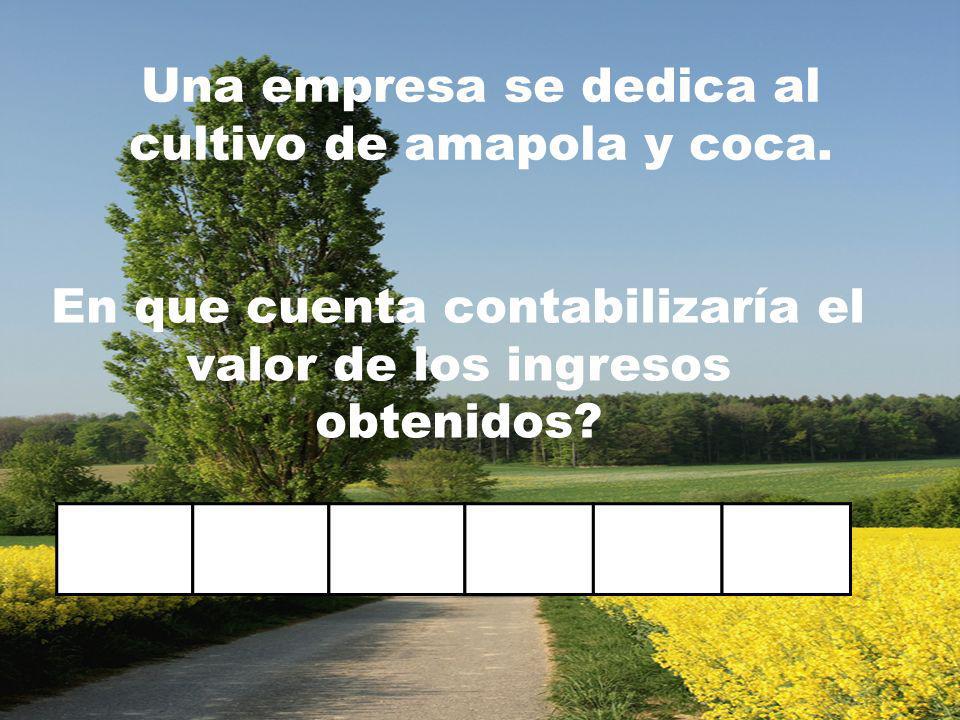 Una empresa se dedica al cultivo de amapola y coca.