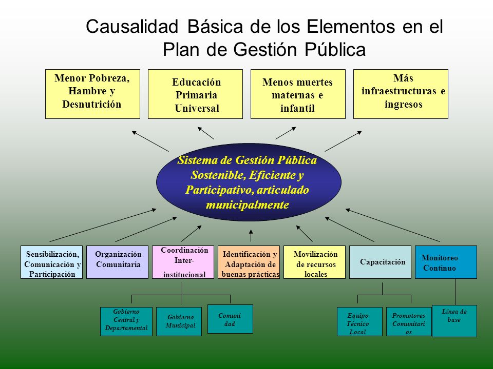 Causalidad Básica de los Elementos en el Plan de Gestión Pública