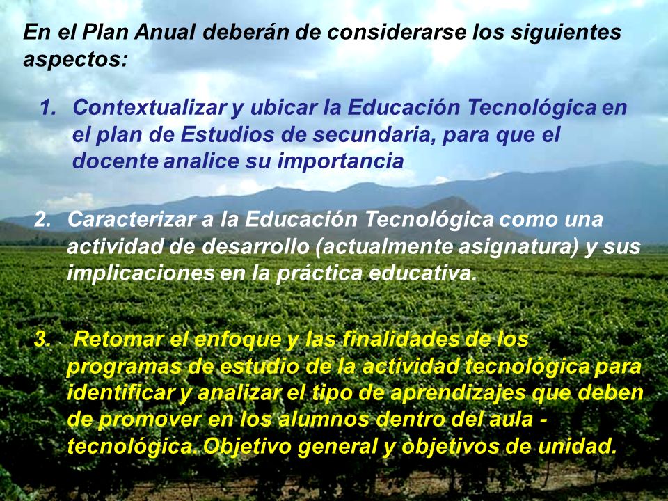 En el Plan Anual deberán de considerarse los siguientes aspectos: