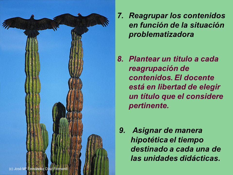 Finfinf j. Reagrupar los contenidos en función de la situación problematizadora.