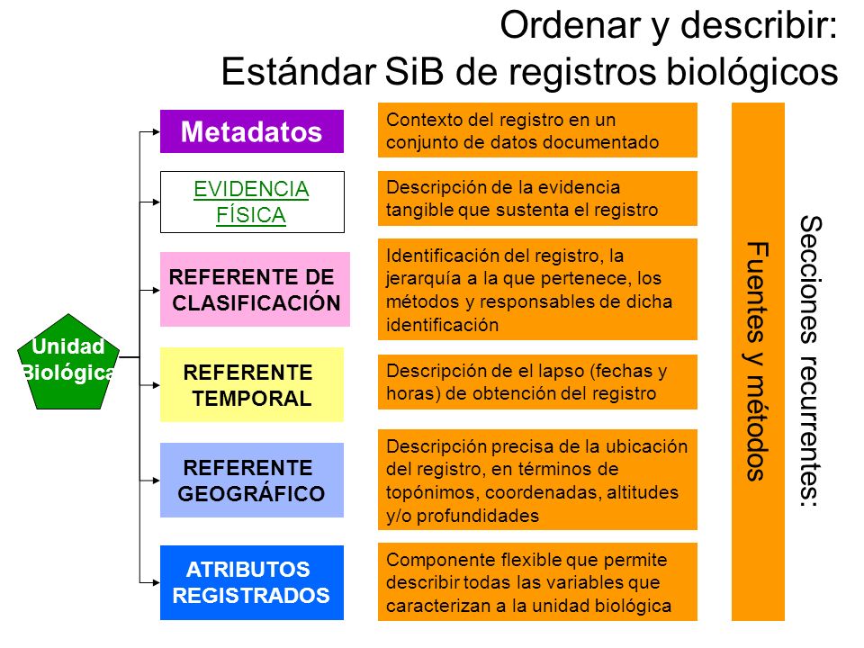 Ordenar y describir: Estándar SiB de registros biológicos
