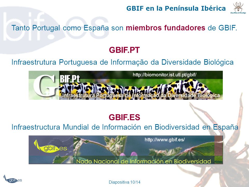 GBIF en la Península Ibérica