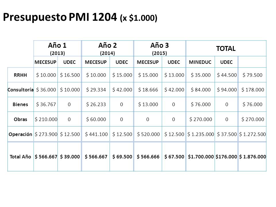 Presupuesto PMI 1204 (x $1.000) Año 1 Año 2 Año 3 TOTAL (2013) (2014)