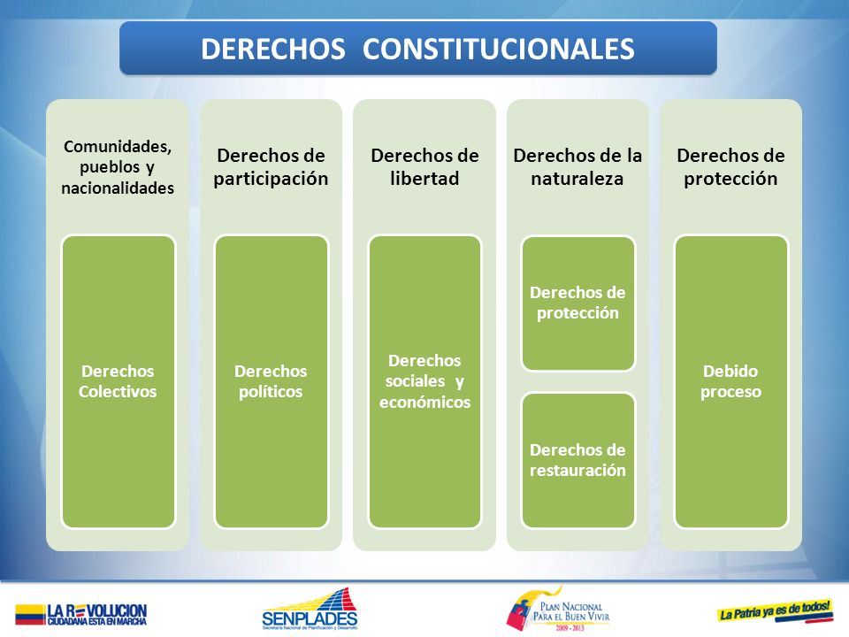 DERECHOS CONSTITUCIONALES