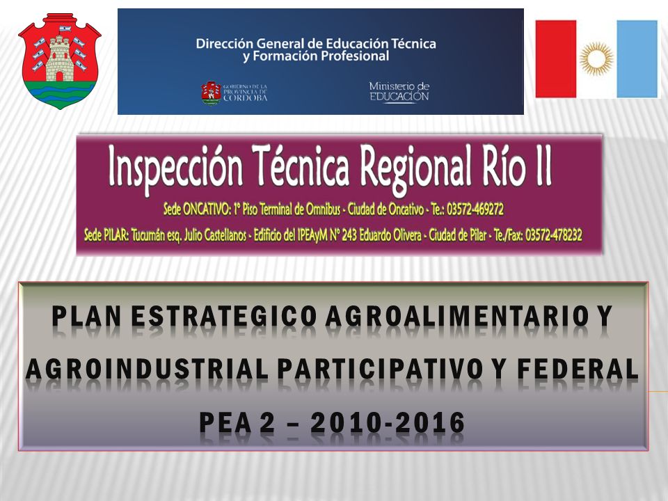 PLAN ESTRATEGICO AGROALIMENTARIO Y AGROINDUSTRIAL PARTICIPATIVO Y FEDERAL PEA 2 –