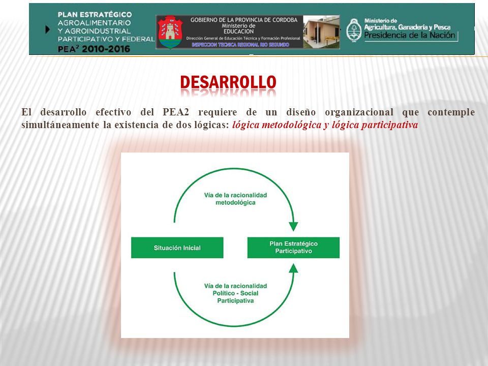 DESARROLLO