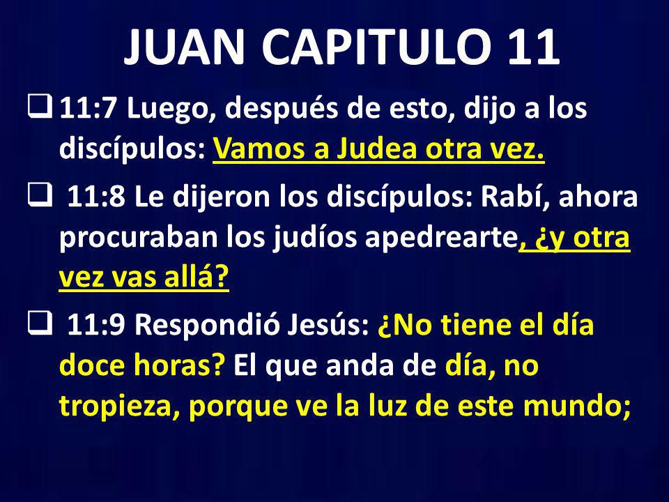 JUAN CAPITULO 11 11:7 Luego, después de esto, dijo a los discípulos: Vamos a Judea otra vez.