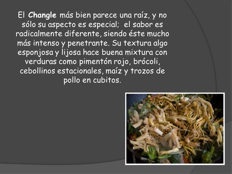 El Changle más bien parece una raíz, y no sólo su aspecto es especial; el sabor es radicalmente diferente, siendo éste mucho más intenso y penetrante.