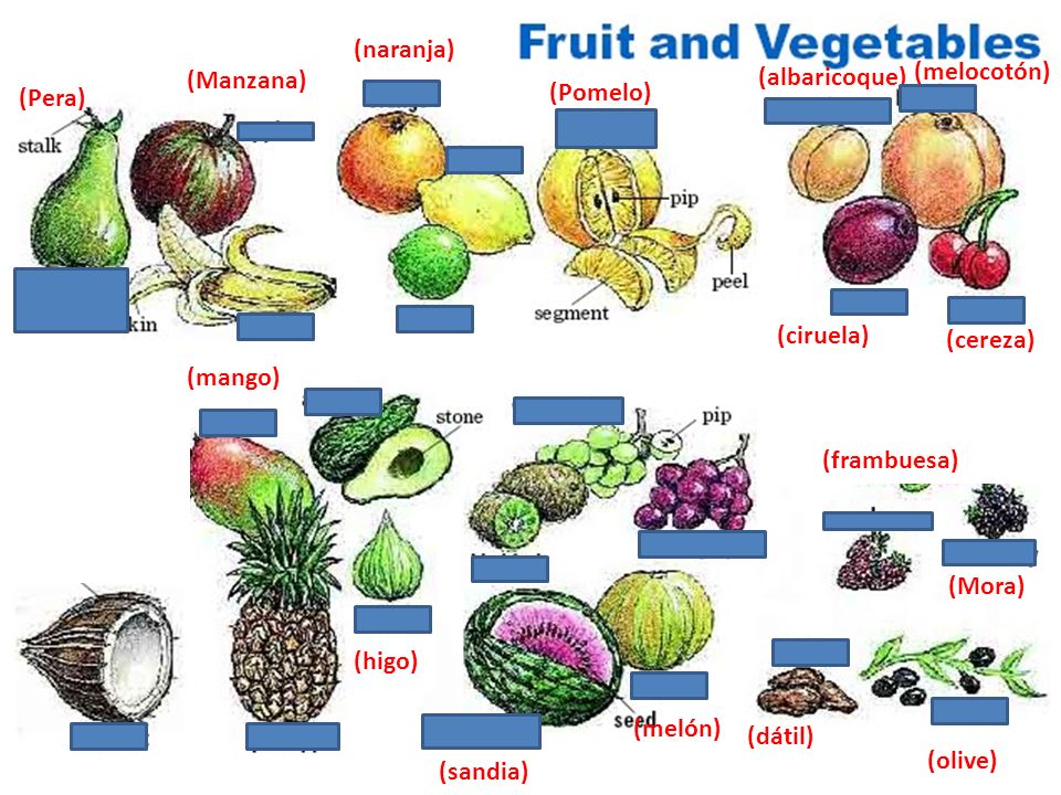 (naranja) (albaricoque) (melocotón) (Manzana) (Pera) (Pomelo) (Peər)) (ciruela) (cereza) (mango)