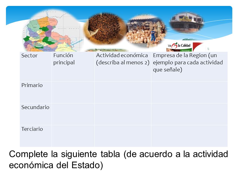 Sector Función principal. Actividad económica (describa al menos 2) Empresa de la Region (un ejemplo para cada actividad que señale)