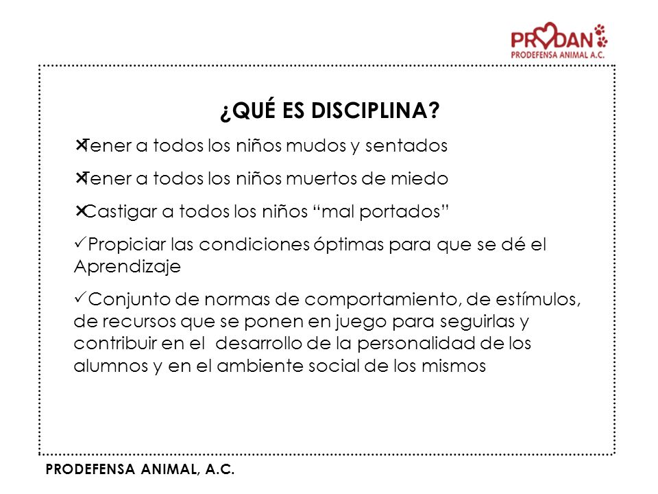 ¿QUÉ ES DISCIPLINA Tener a todos los niños mudos y sentados