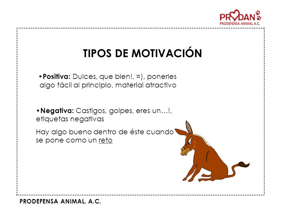 TIPOS DE MOTIVACIÓN Positiva: Dulces, que bien!, =), ponerles algo fácil al principio, material atractivo.