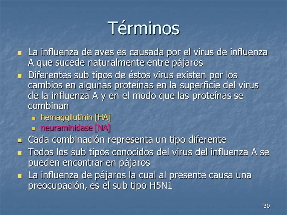 Términos La influenza de aves es causada por el virus de influenza A que sucede naturalmente entre pájaros.
